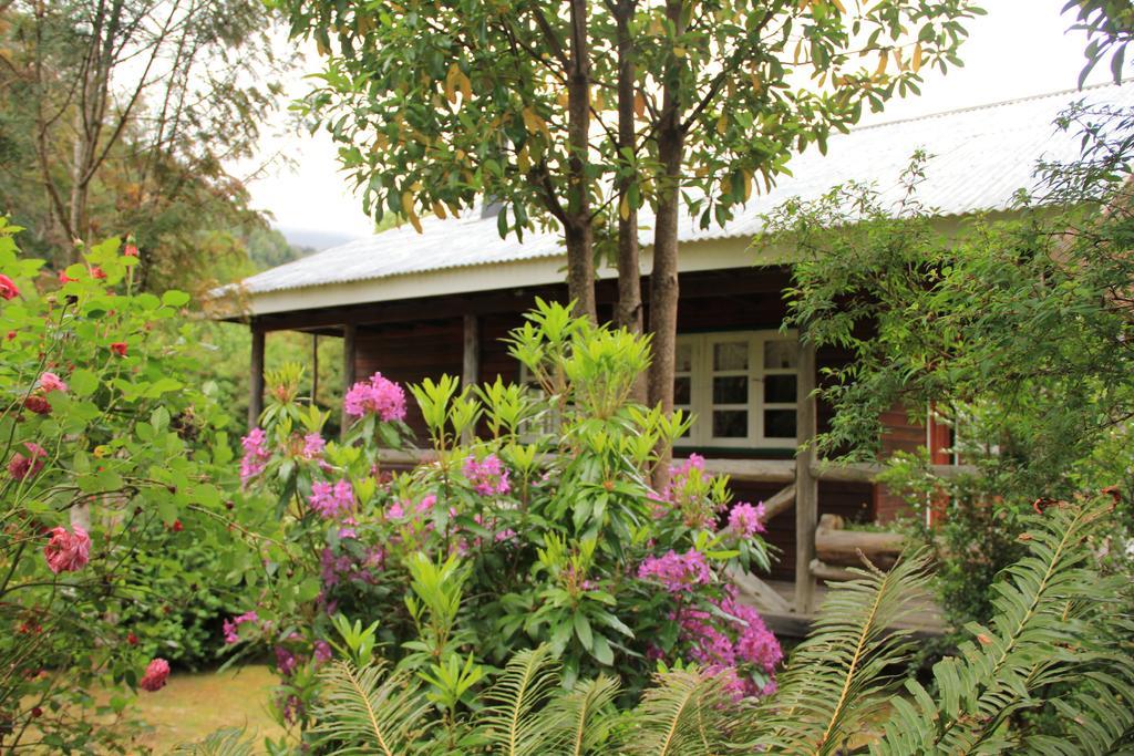 Posada Queulat ปูแอร์โต ปูยูวาปี ห้อง รูปภาพ